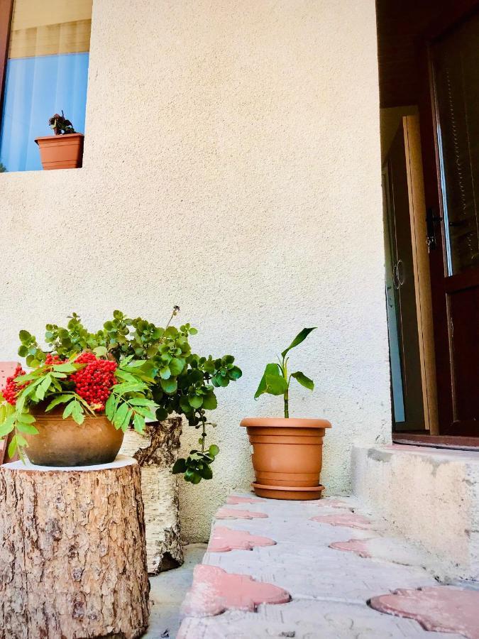 Guesthouse And Cottage Nicolo Stepantsminda Exterior photo